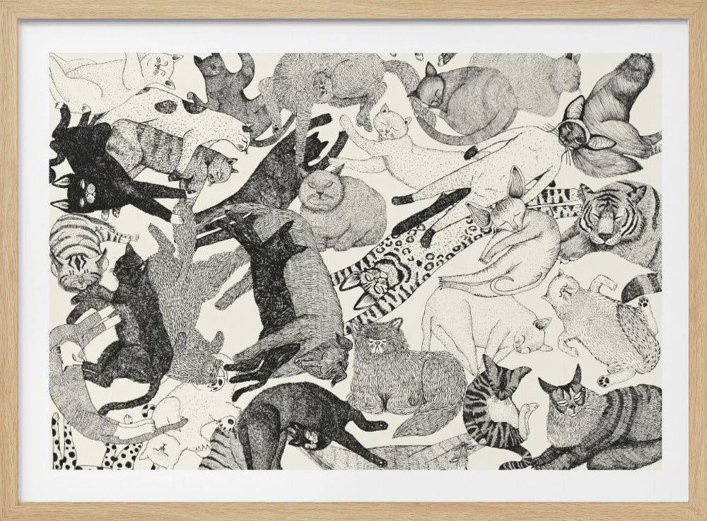 Cats | Poster