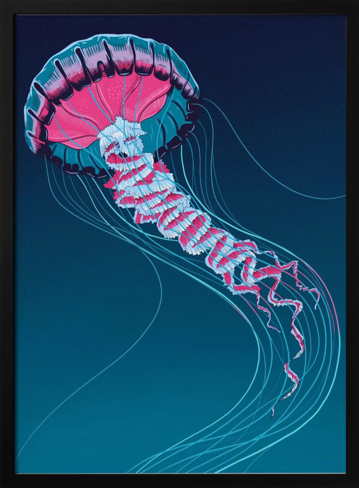 Löwenmähnenqualle | Poster