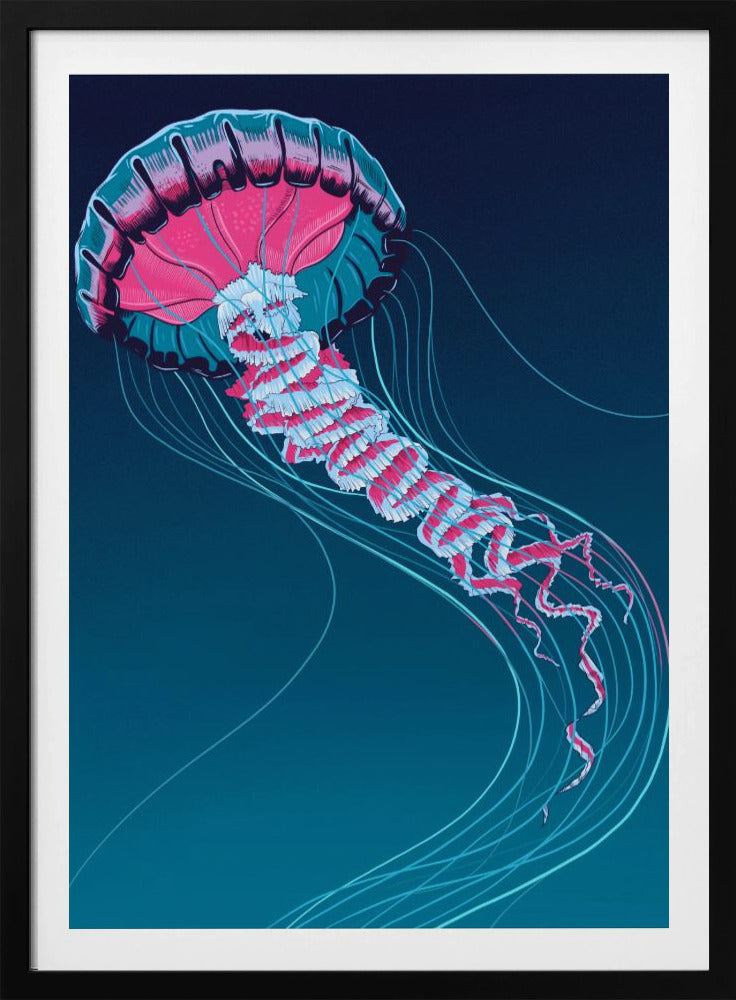 Löwenmähnenqualle | Poster