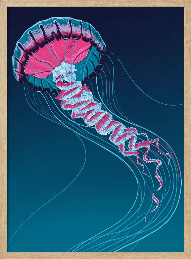 Löwenmähnenqualle | Poster