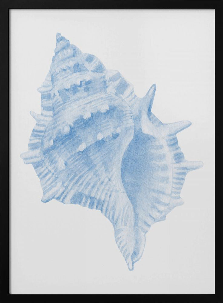 One Blue Conch | Poster