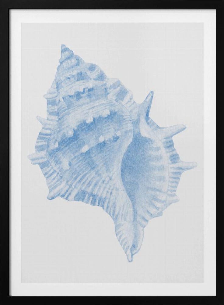 One Blue Conch | Poster