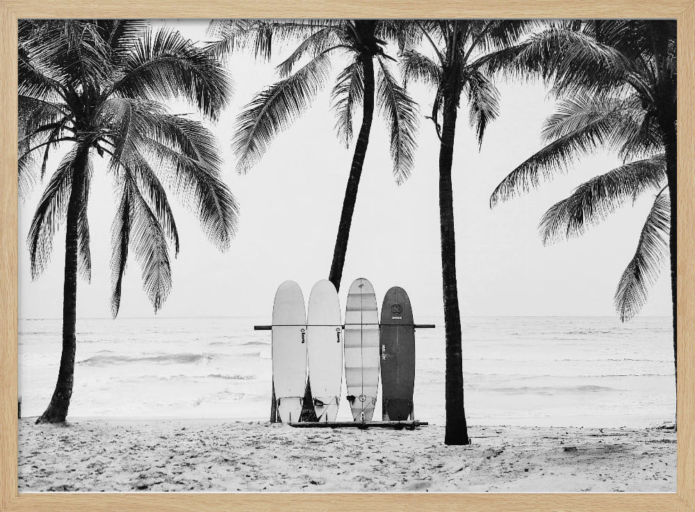 The Boards | Poster