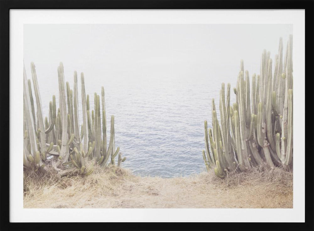 Ocean Cactus | Poster