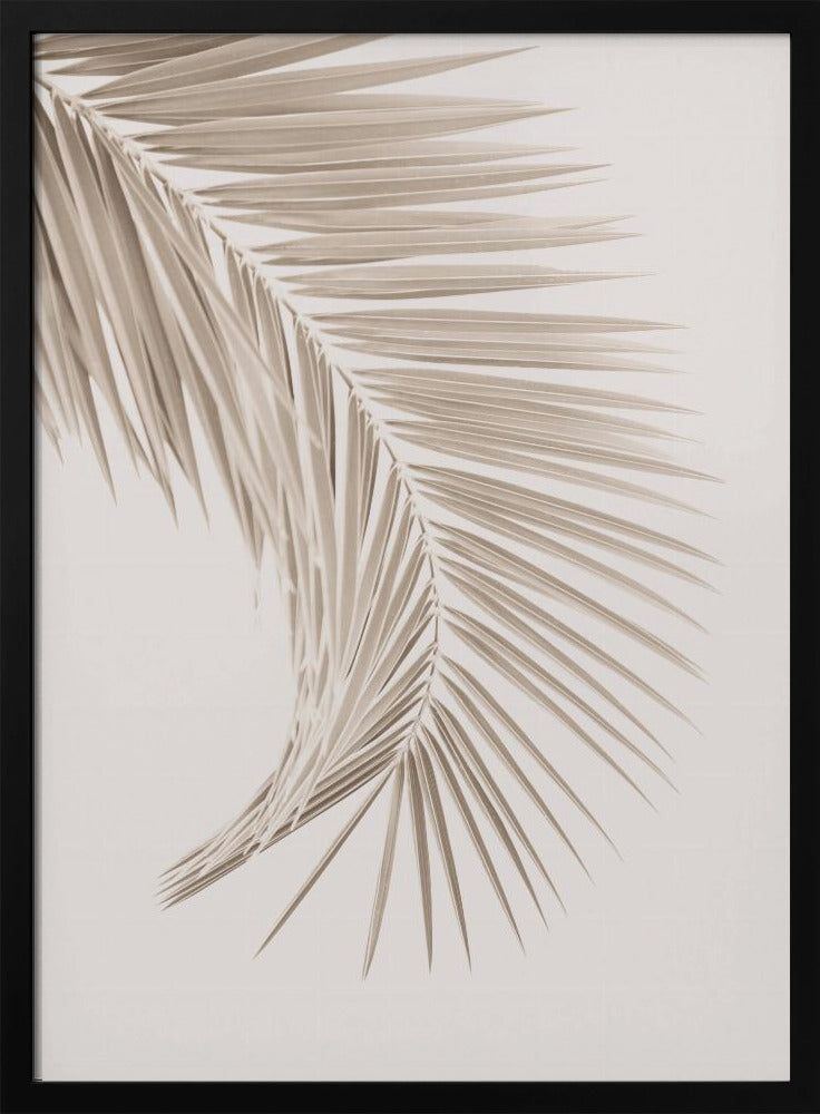 Hellbraunes Blatt | Poster