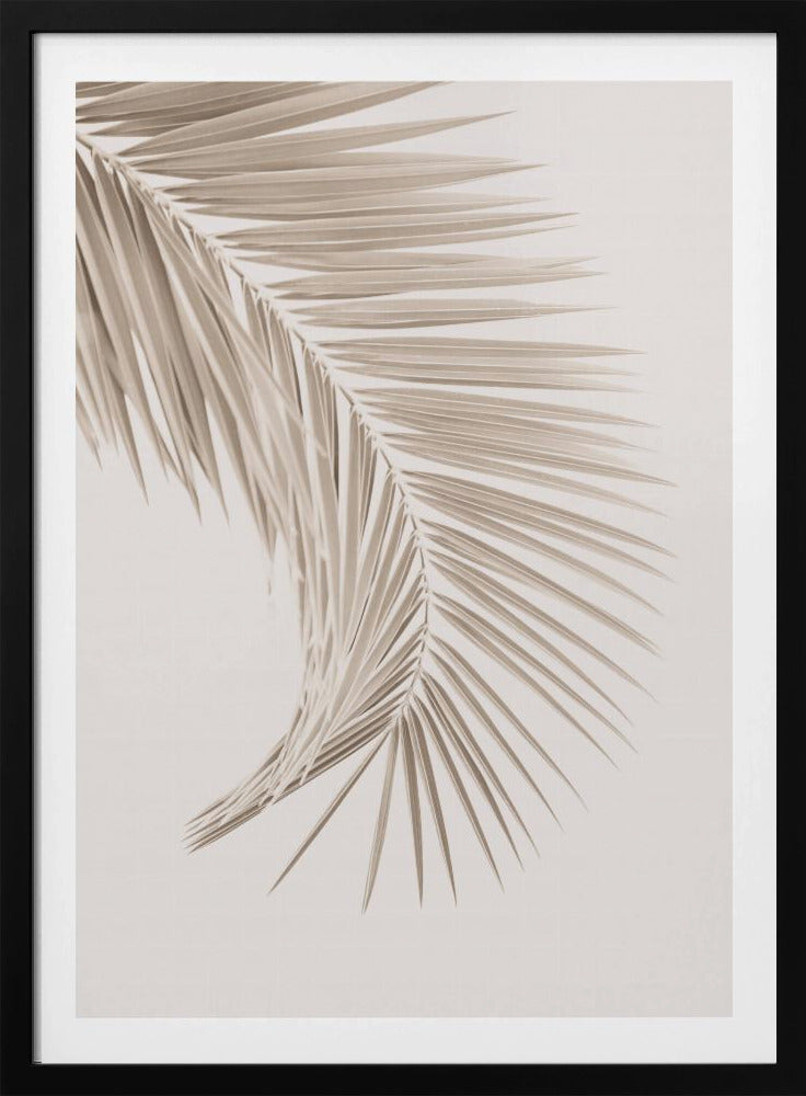 Hellbraunes Blatt | Poster