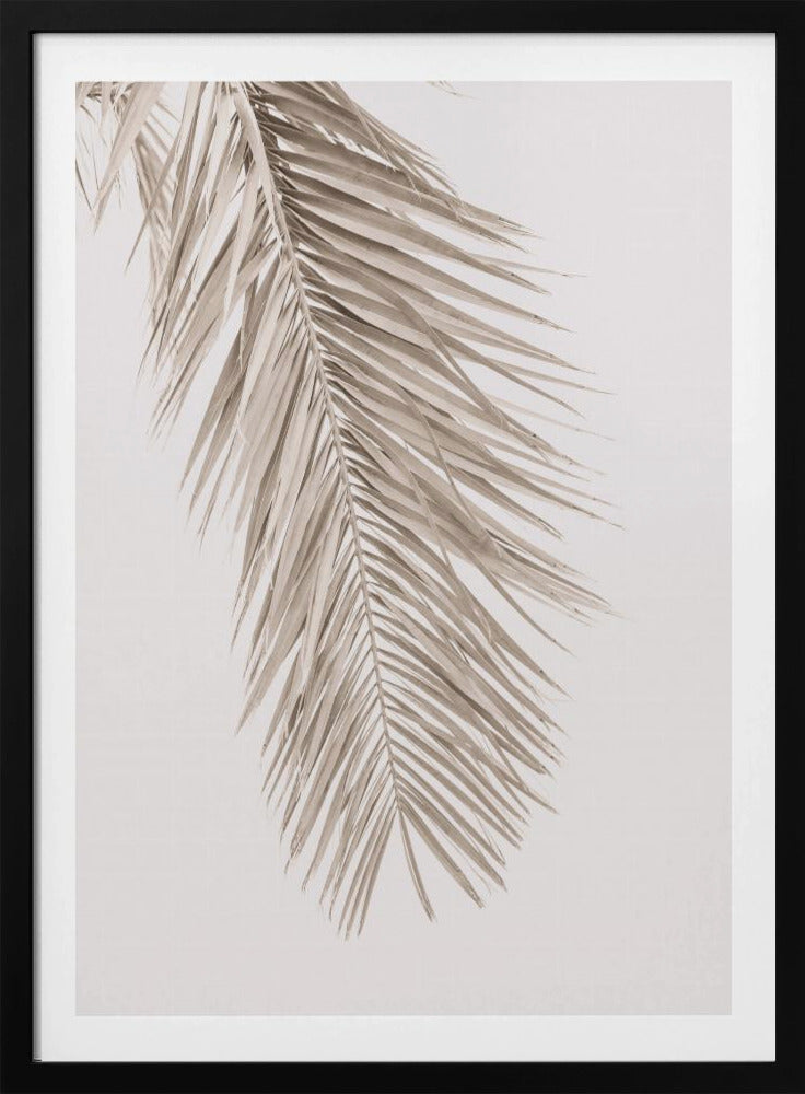 Hellbraunes Blatt 2 | Poster