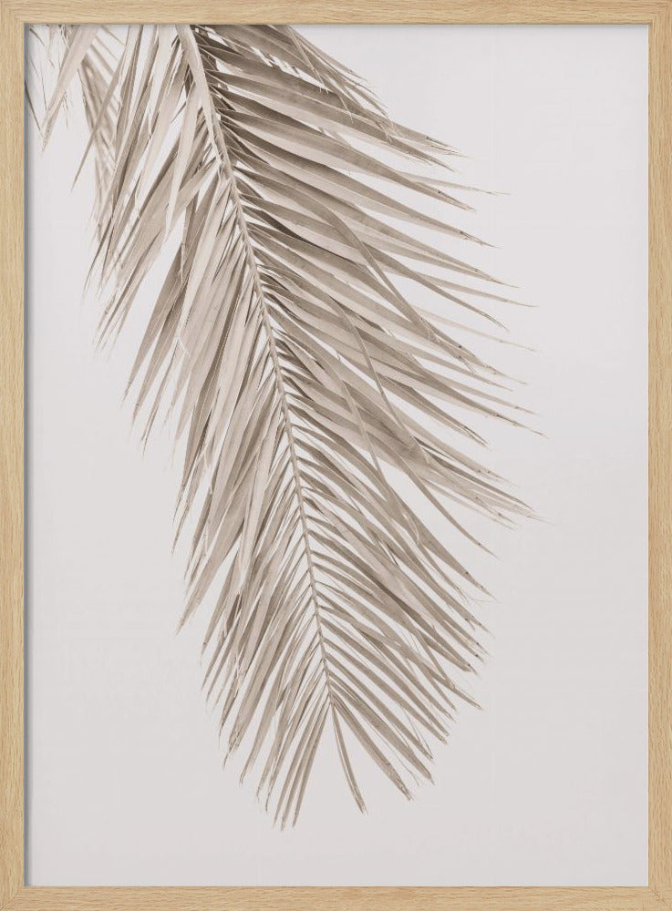 Hellbraunes Blatt 2 | Poster
