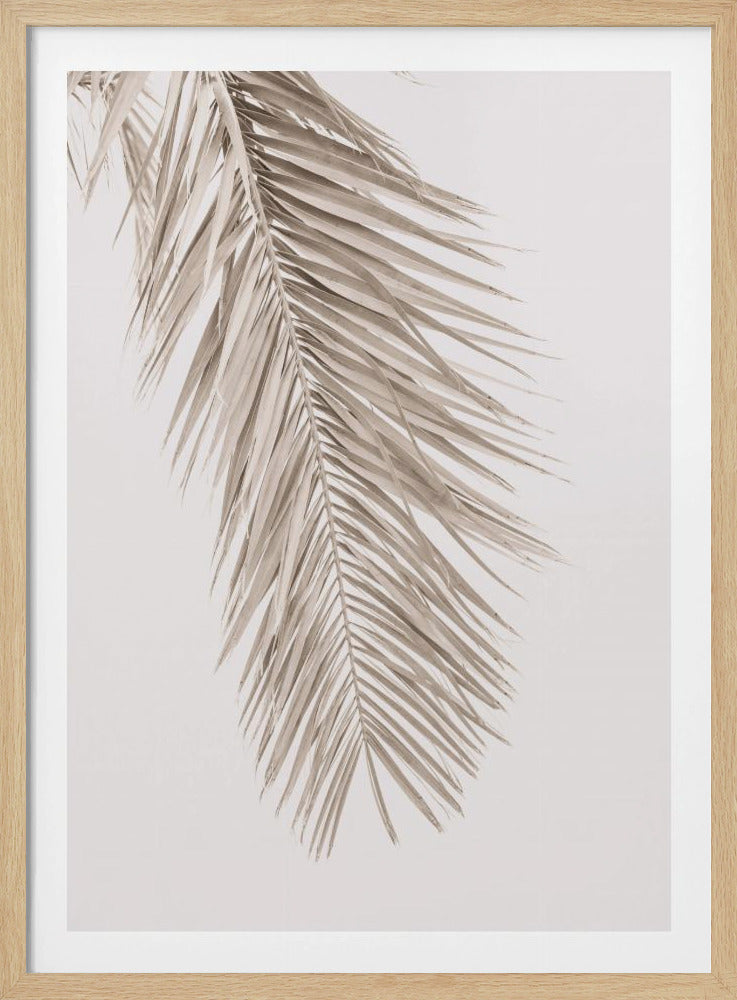 Hellbraunes Blatt 2 | Poster