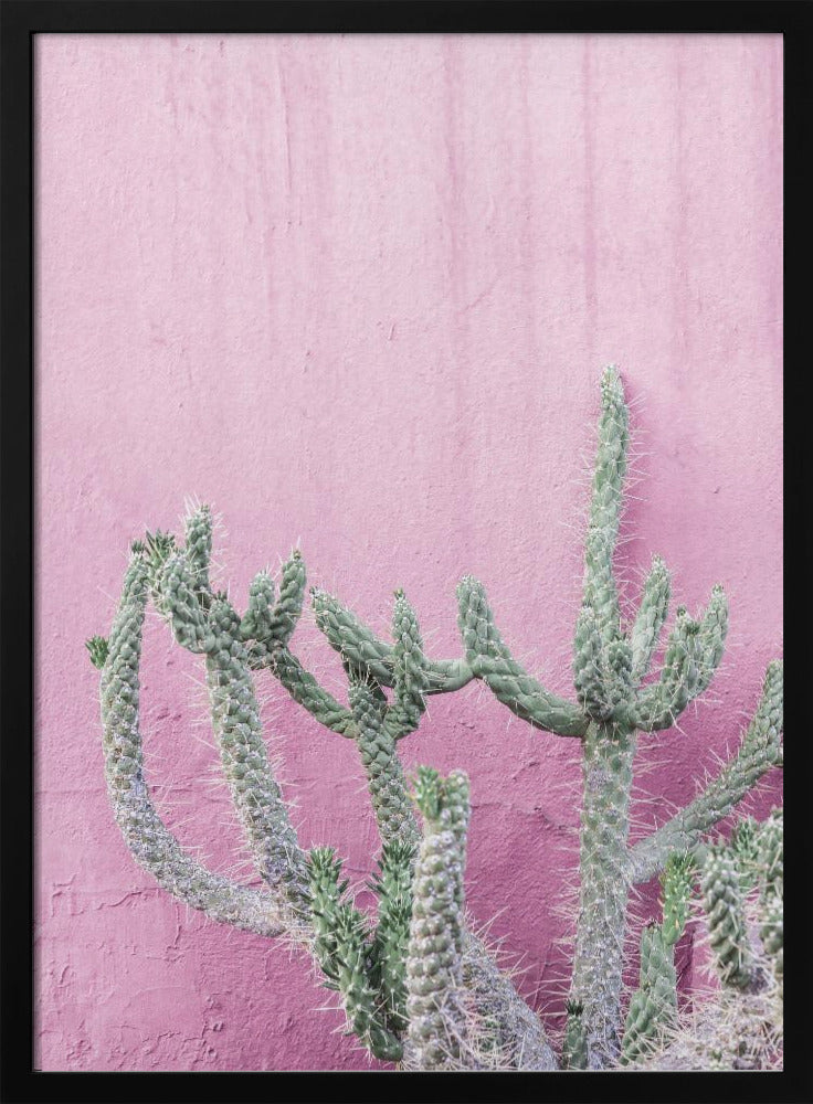 Cactus On Pink | Poster