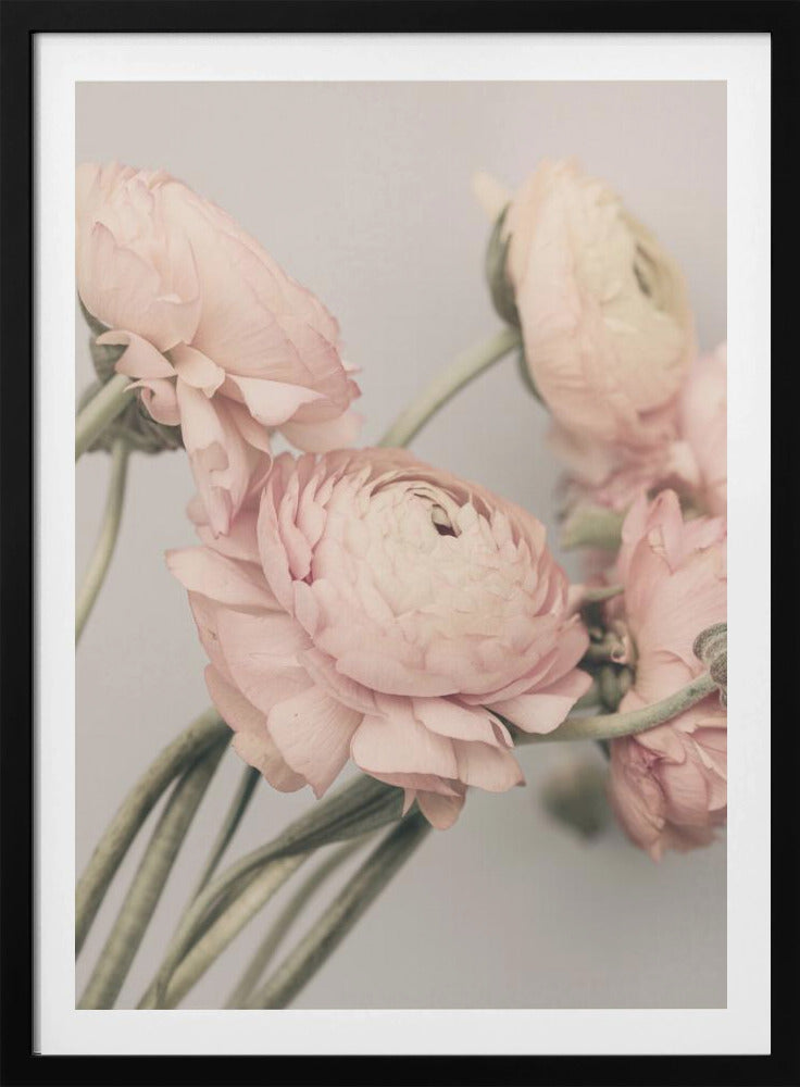 01644 | Poster