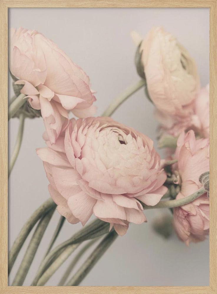 01644 | Poster