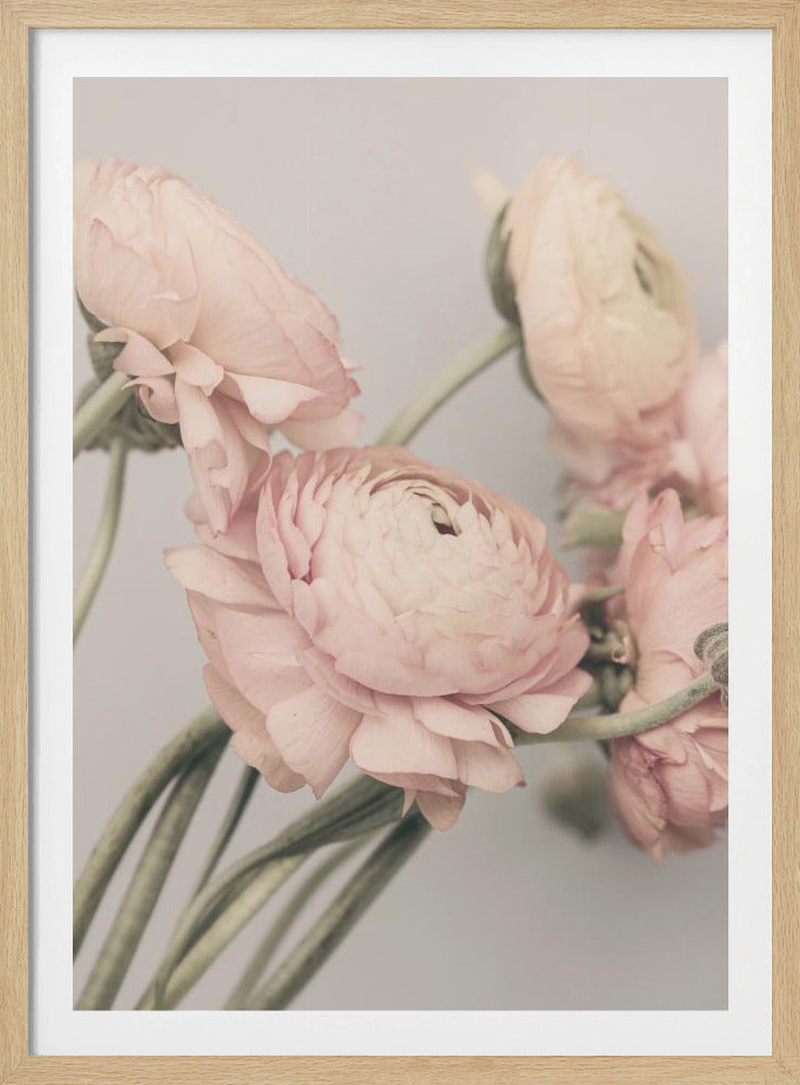 01644 | Poster