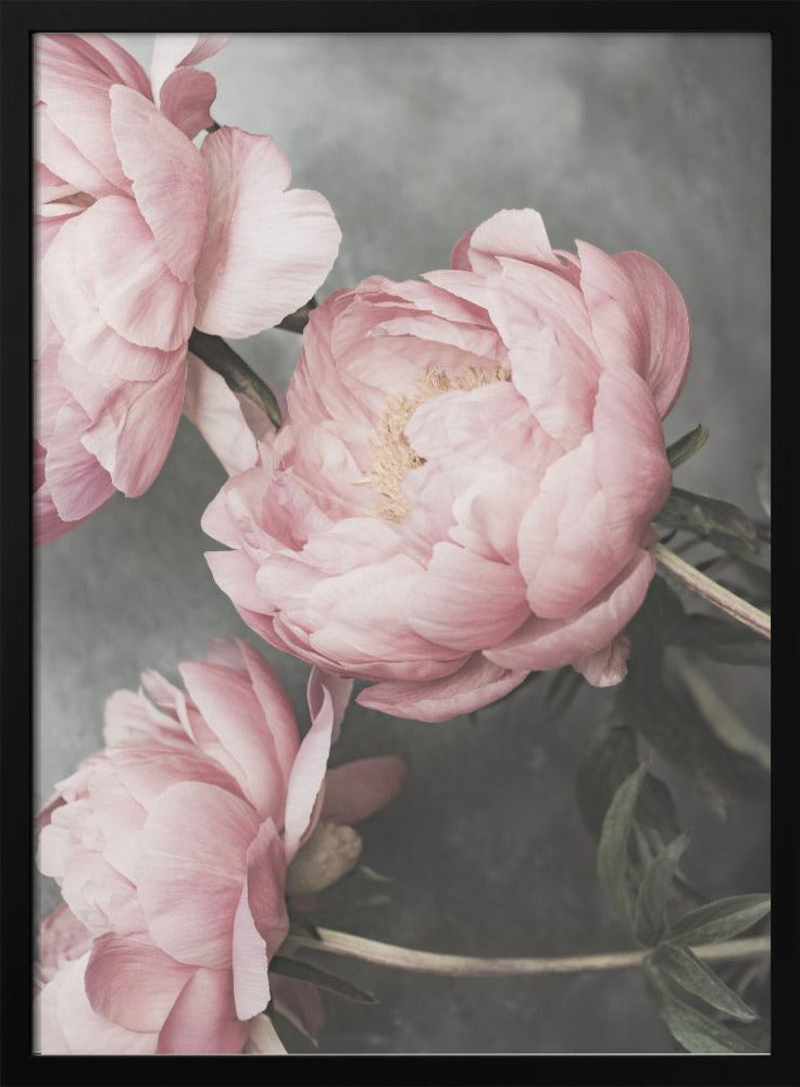 01643 | Poster