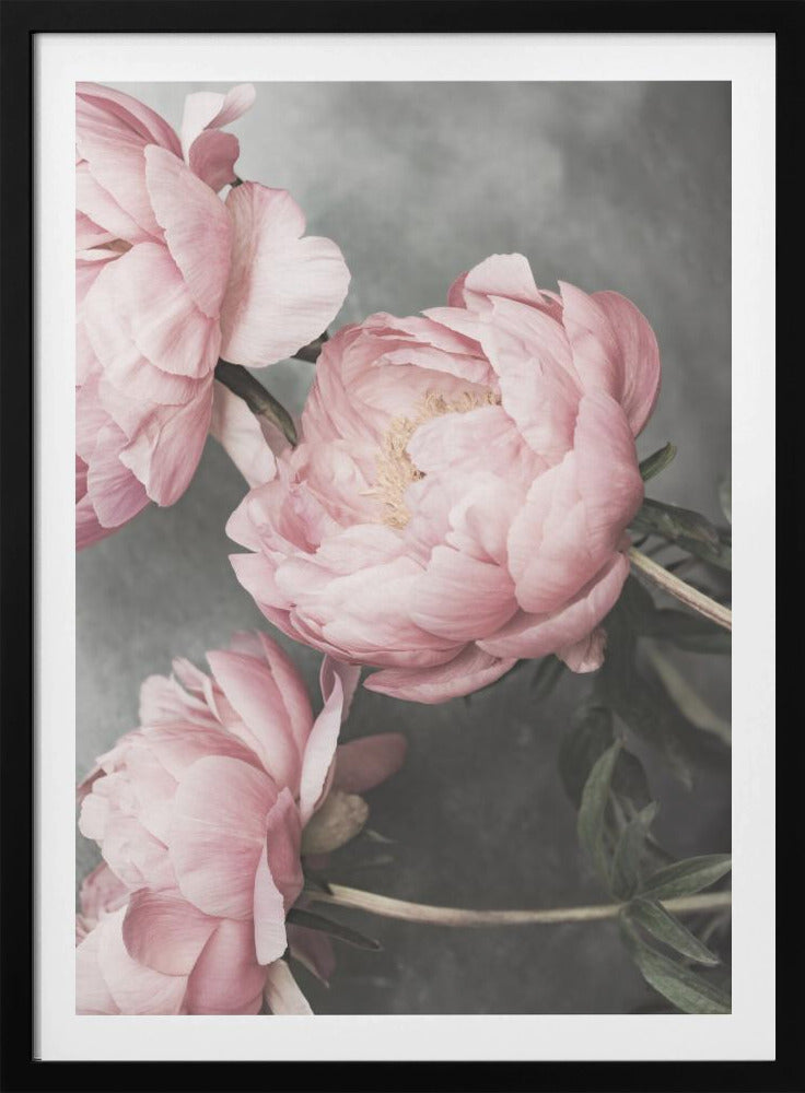 01643 | Poster