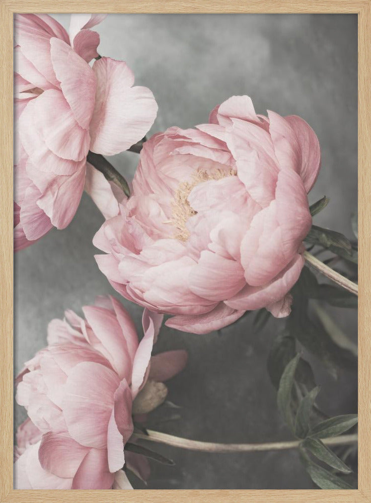 01643 | Poster