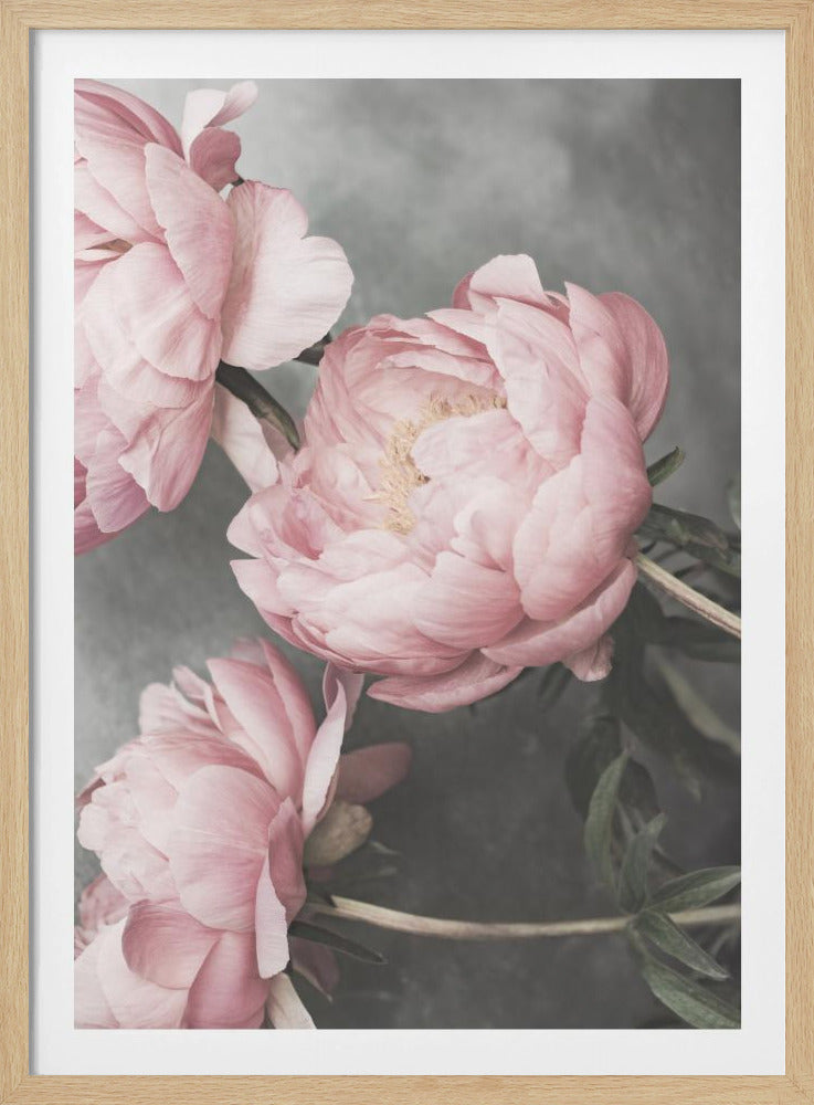 01643 | Poster