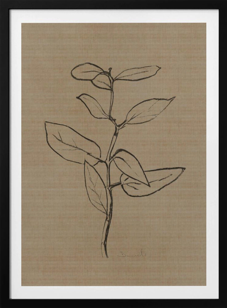 Eukalyptus-Setzling | Poster