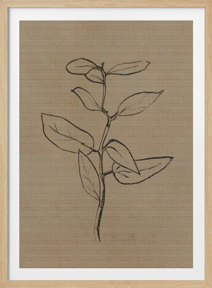 Eukalyptus-Setzling | Poster
