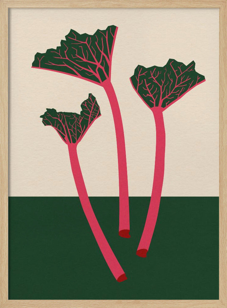 Swedish Garden Rhabarber | Poster