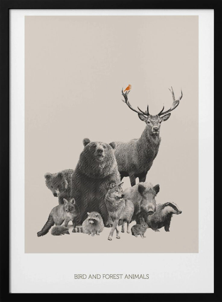 Vogel- und Waldtiere | Poster