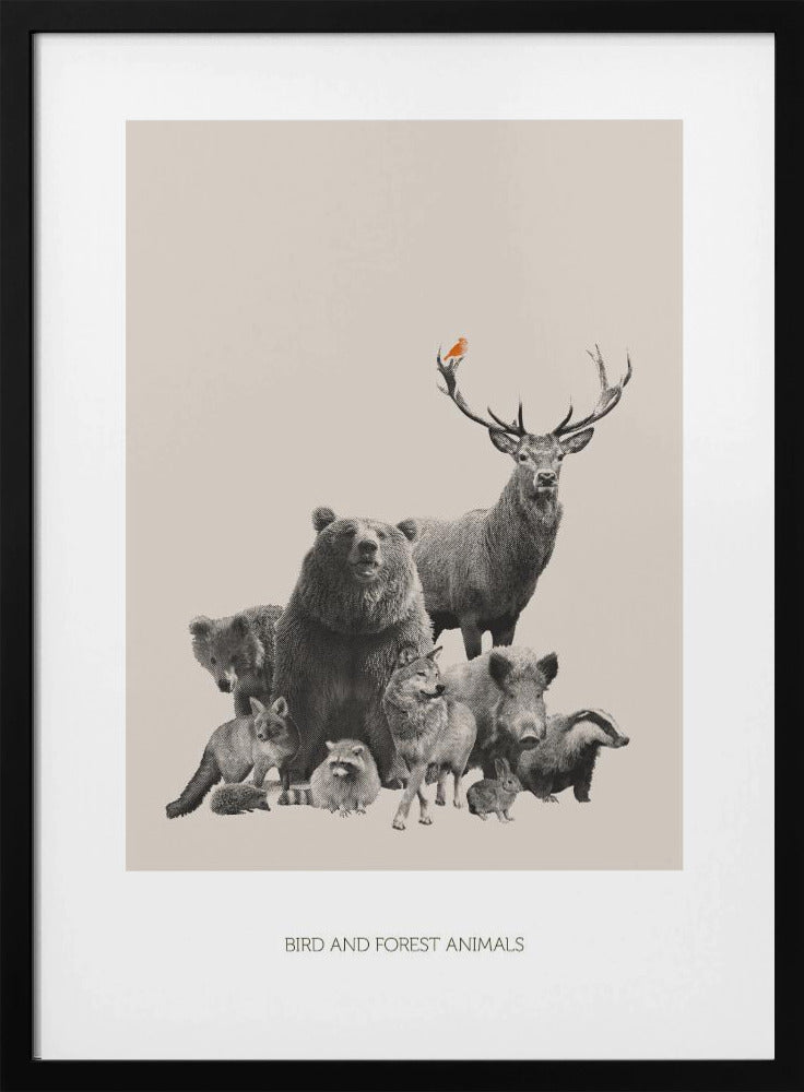 Vogel- und Waldtiere | Poster