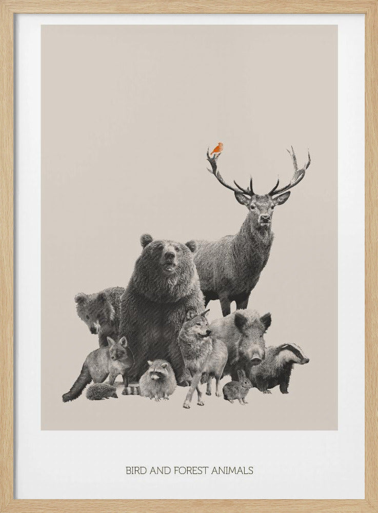 Vogel- und Waldtiere | Poster