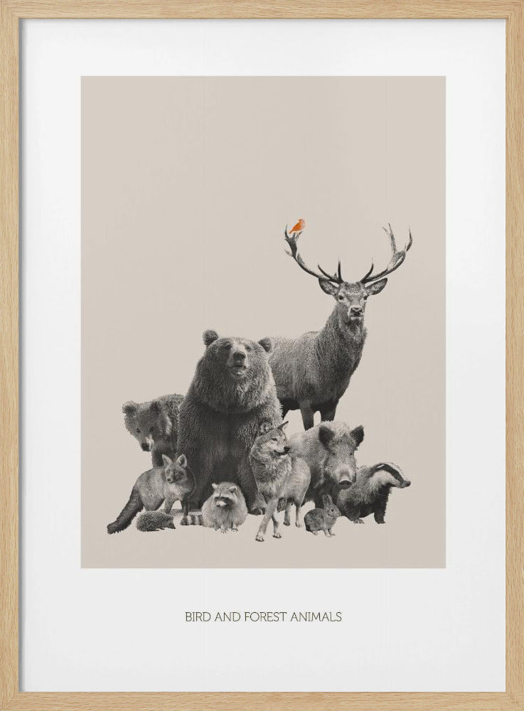 Vogel- und Waldtiere | Poster