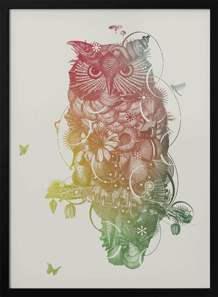 Eule | Poster