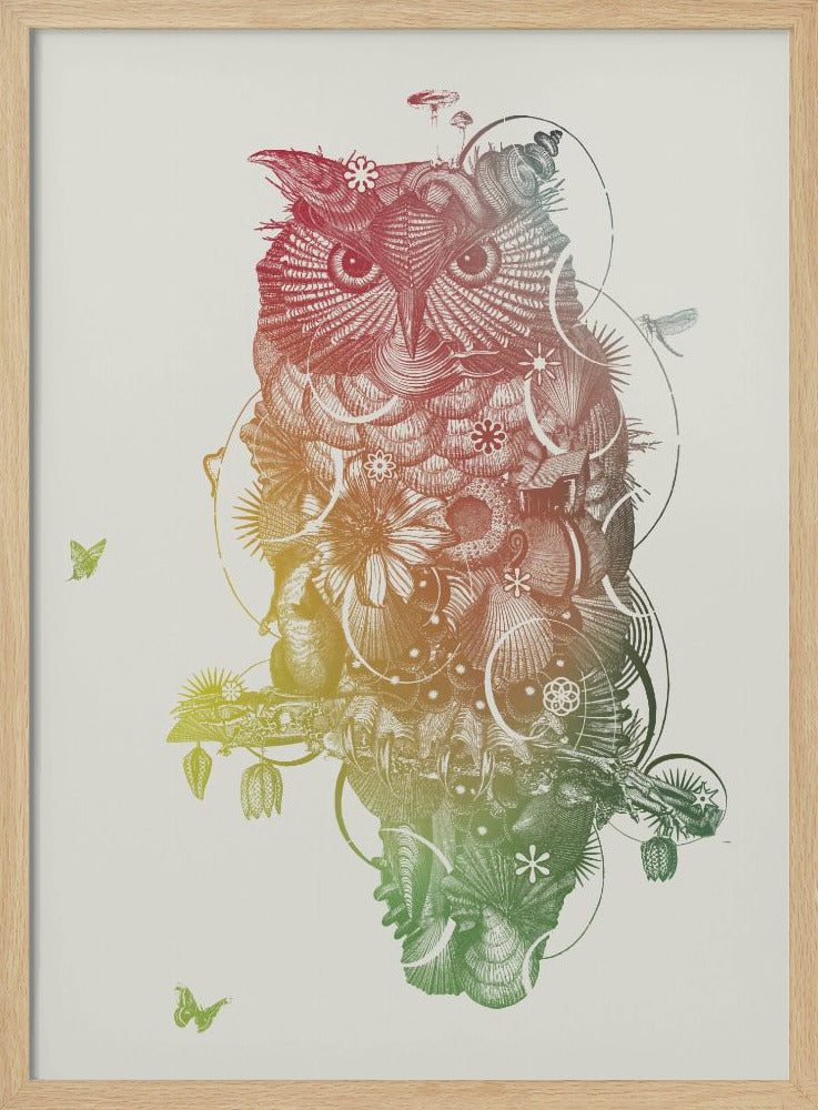 Eule | Poster