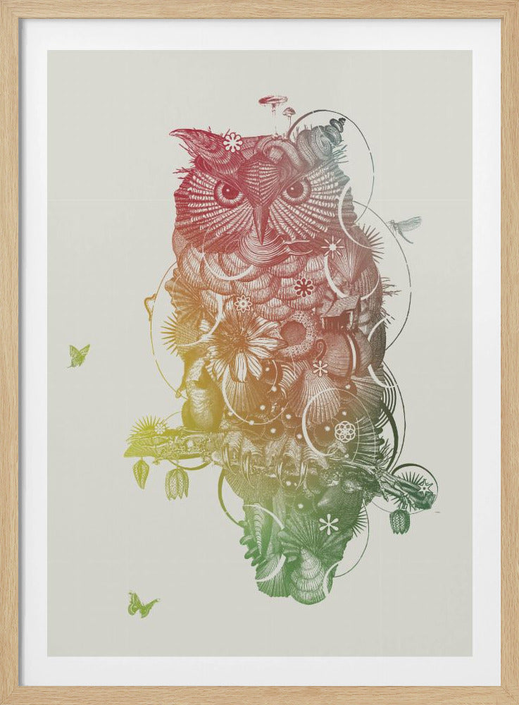 Eule | Poster