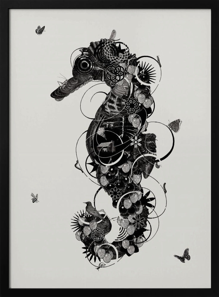 Seepferdchen | Poster