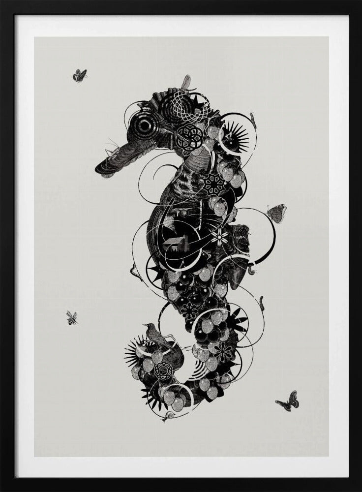 Seepferdchen | Poster