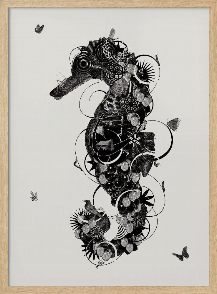 Seepferdchen | Poster