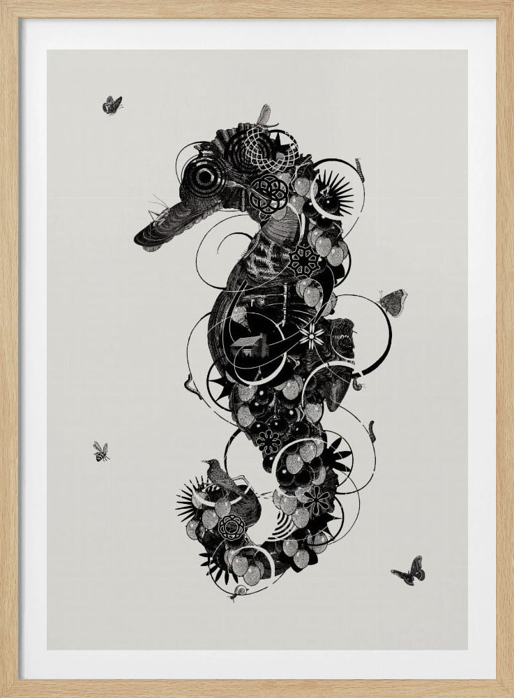 Seepferdchen | Poster