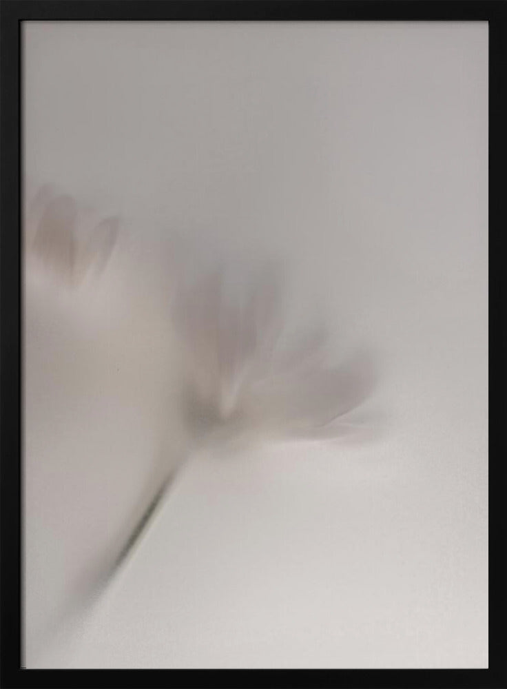 Blurred Flowers 1 018a5454 | Poster