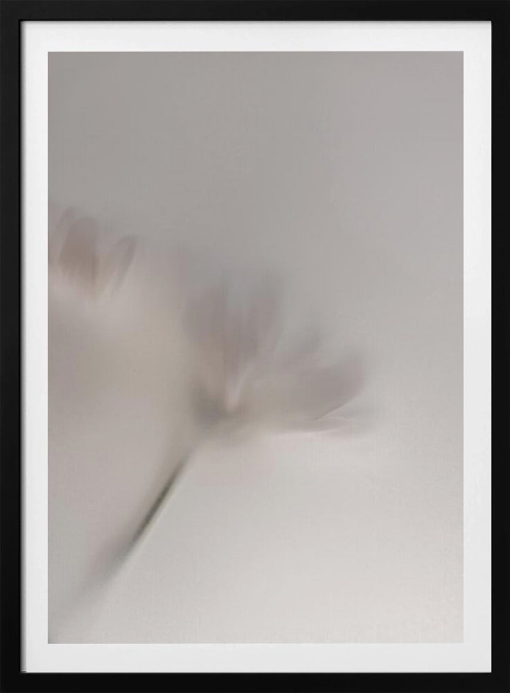 Blurred Flowers 1 018a5454 | Poster