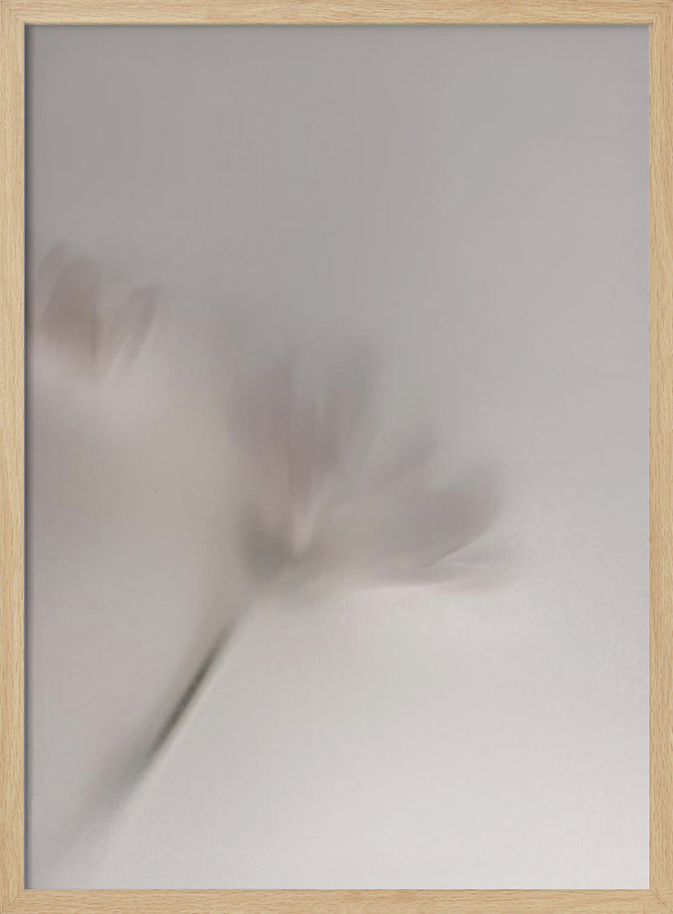 Blurred Flowers 1 018a5454 | Poster