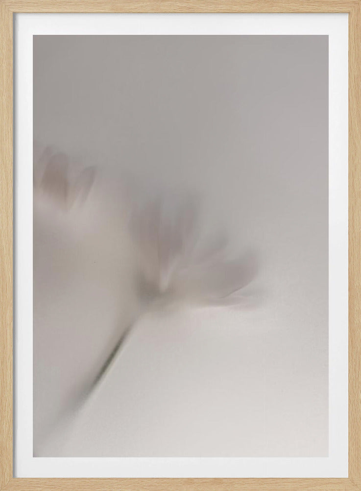 Blurred Flowers 1 018a5454 | Poster