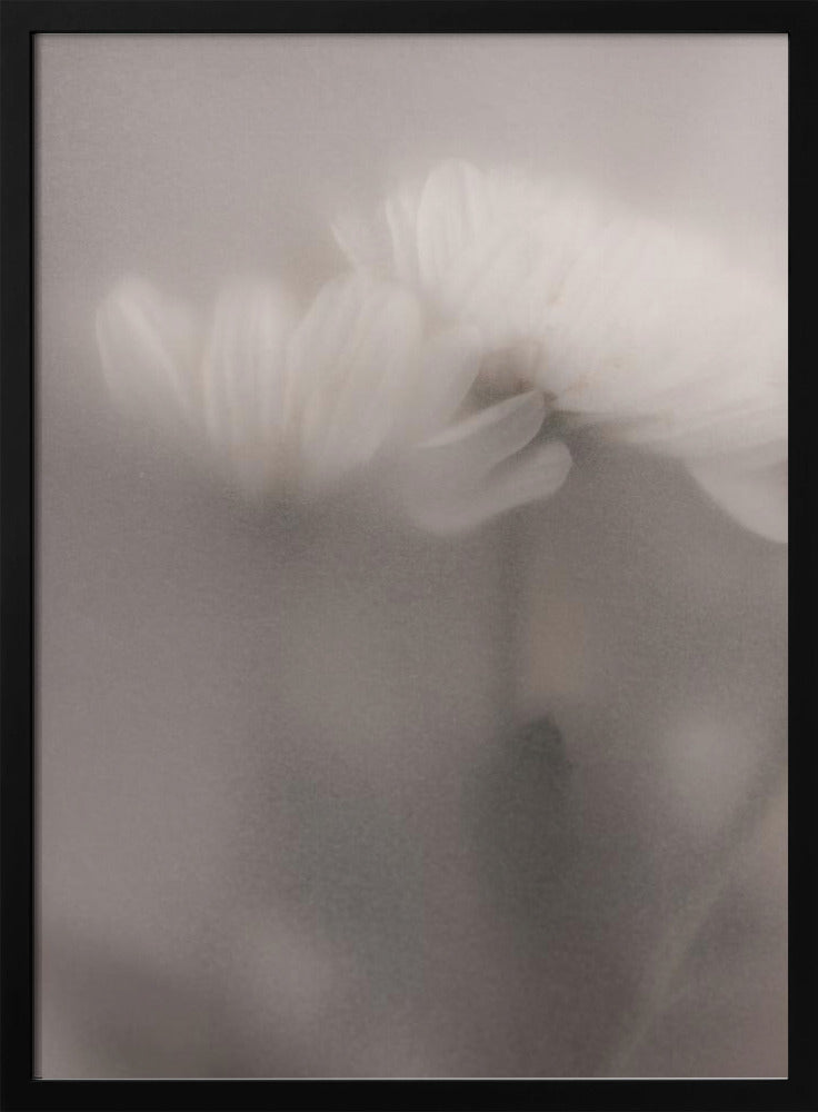 Blurred Flowers 3 | Poster
