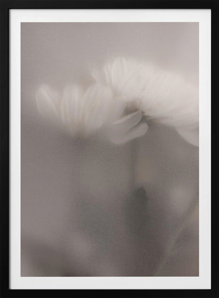 Blurred Flowers 3 | Poster