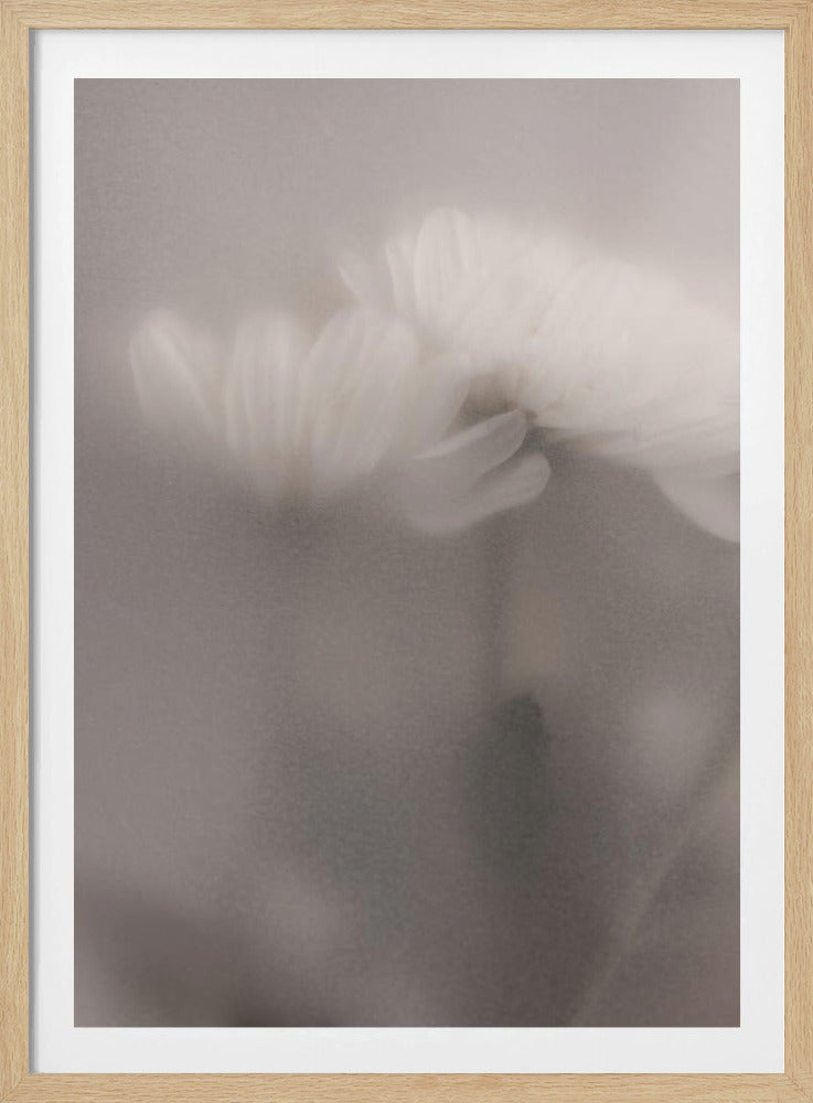 Blurred Flowers 3 | Poster