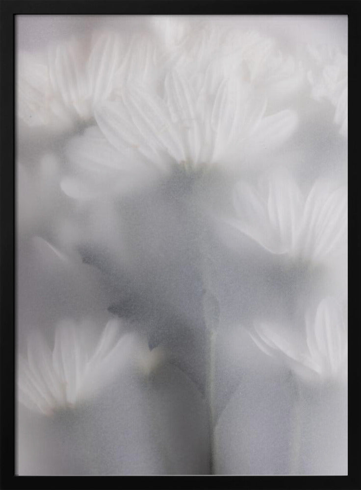 Blurred Flowers 6 | Poster