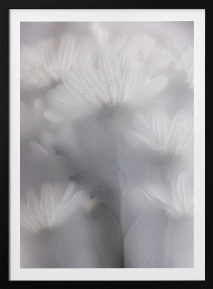 Blurred Flowers 6 | Poster
