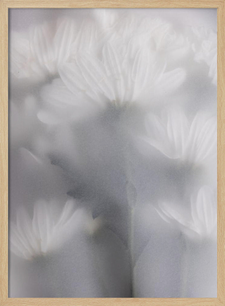 Blurred Flowers 6 | Poster