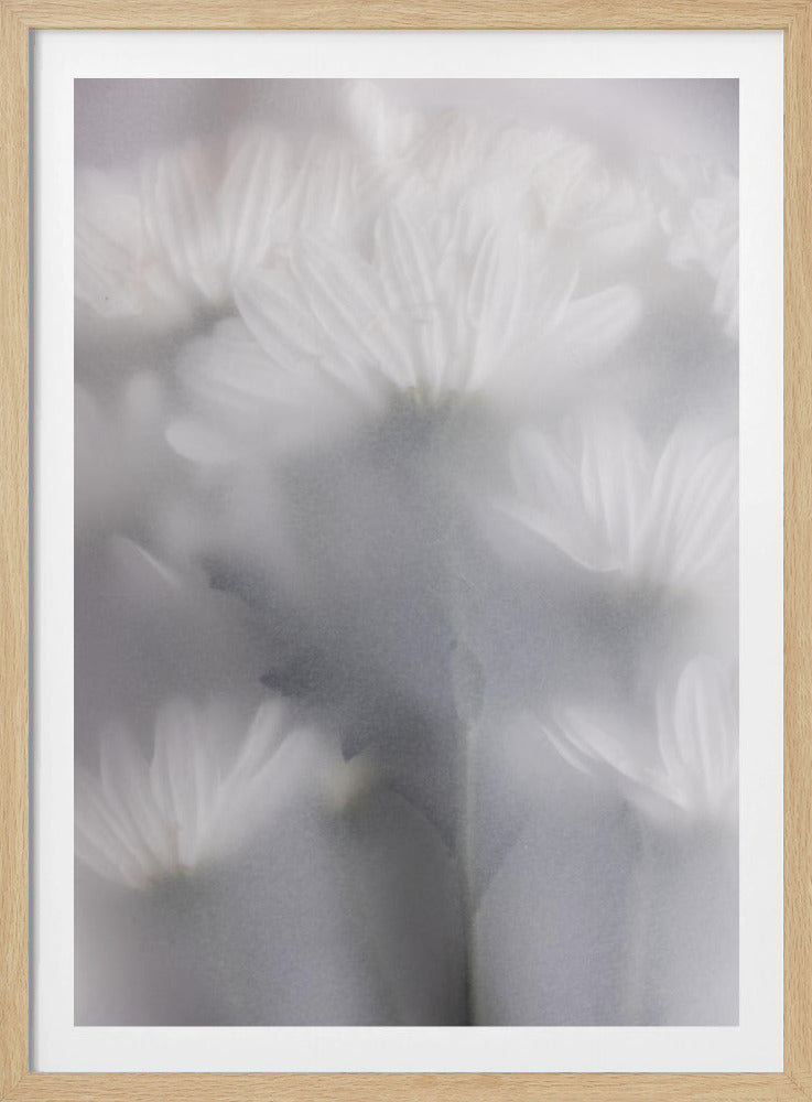 Blurred Flowers 6 | Poster