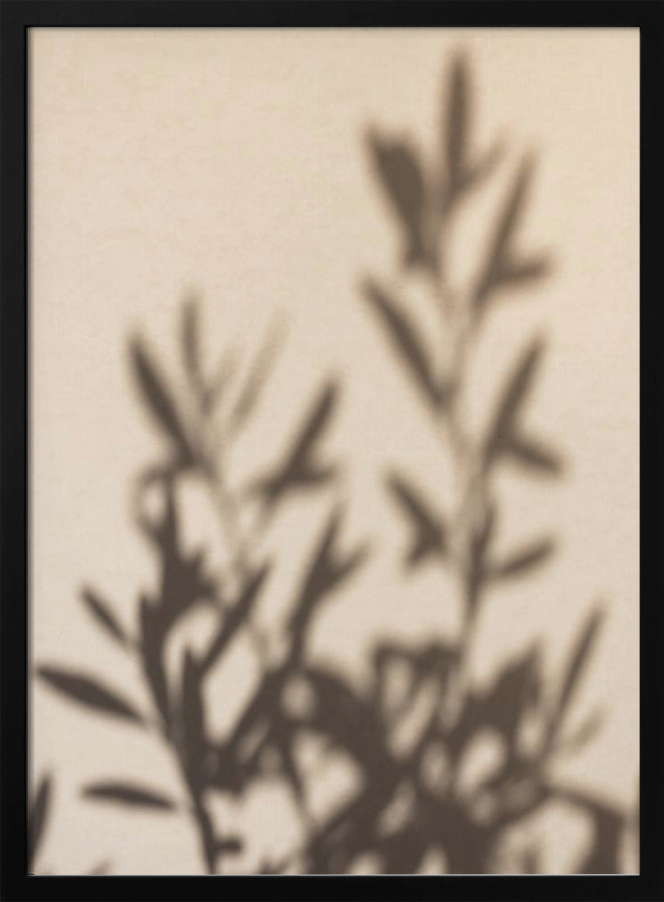 Summer Shadows 6 | Poster