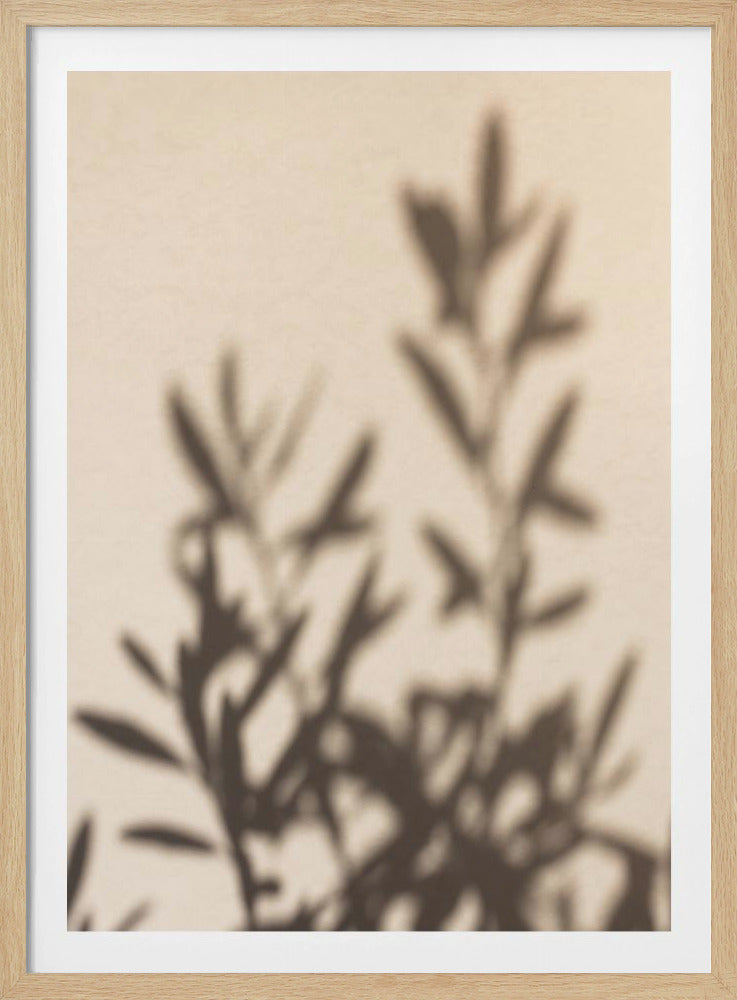 Summer Shadows 6 | Poster