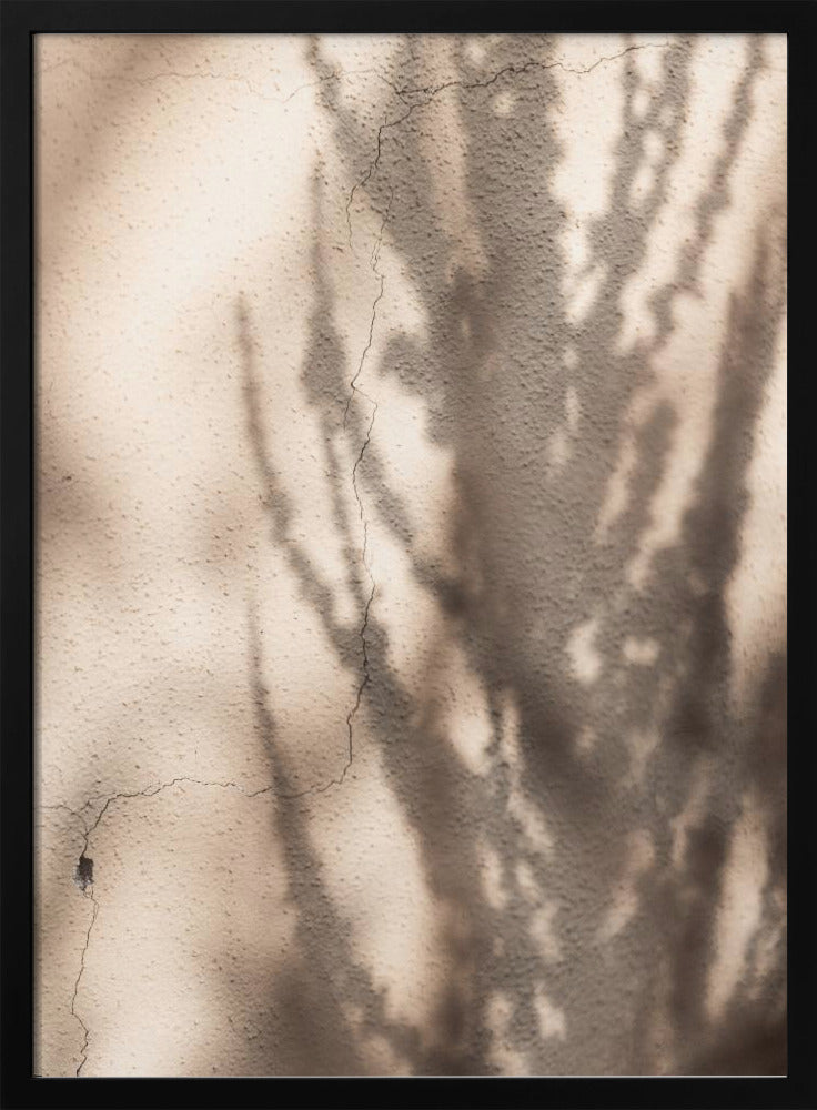 Summer Shadows 7 | Poster