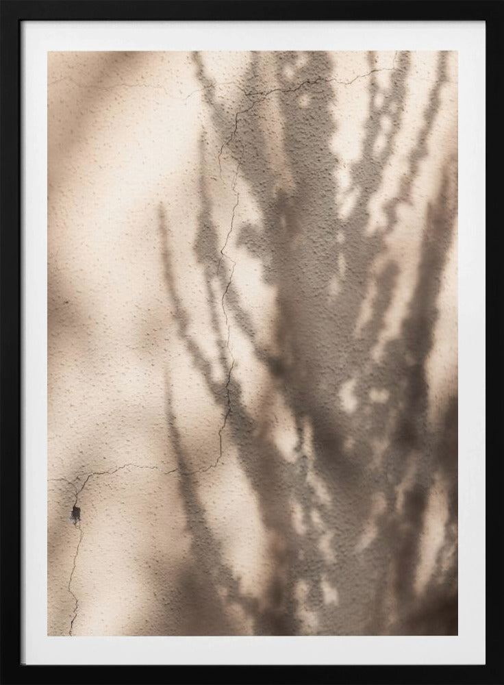 Summer Shadows 7 | Poster